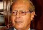 رخا حسن: استقرار مصر والسعودية صمام أمان للمنطقة العربية .. فيديو  