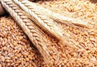 وزير الزراعة إعداد خريطة صنفية لتقاوى القمح وتوزيعها على المحافظات