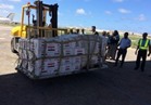 «مصر» تسلم 9 أطنان مساعدات غذائية وطبية لـ«الصومال»