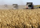 ارتفاع سعر صادرات القمح الروسية بفعل مشتريات مصرية وقوة الروبل