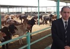 رمضان عبد الفتاح مستشارا لمحافظ جنوب سيناء لمشروعات الثروة الحيوانية