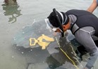 البيئة: محاولات لإنقاذ سمكة الشمس النادرة بنويبع بعد بتر أحد زعانفها 