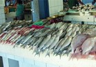 ننشر أسعار الأسماك في سوق العبور 