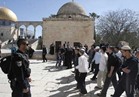 مصر تحذر إسرائيل من عواقب التصعيد في المسجد الأقصى 