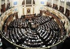 برلماني: «من يزايد على وطنية النواب خائن ويجب محاكمته»