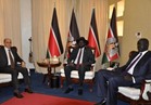 رئيس جنوب السودان يستقبل مساعد وزير الخارجية