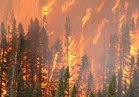 مئات المفقودين جراء حرائق الغابات في كاليفورنيا