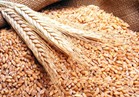 مصر تشتري 175 ألف طن من القمح الروماني والأوكراني في مناقصة