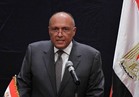 وزراء خارجية مصر وتونس والجزائر يبحثون سبل دعم الحل السياسي بـ"ليبيا"
