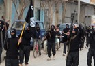 القضاء على 40 من «داعش» بينهم «أمير دير الزور» في ضربة جوية روسية