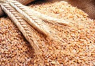 مصر توقف دعم الدقيق وتقلص واردات القمح بما يصل إلى 10%