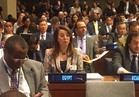 تنسيق مصري- أردني بالأمم المتحدة لتنفيذ قرارات القضاء على الإرهاب