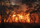 مسؤول: ارتفاع قتلى حرائق غابات كاليفورنيا إلى 21 شخصا