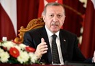 إردوغان: جولة الخليج مثمرة والمساعي ستتواصل