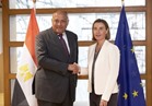 الشراكة المصرية الأوروبية: نسعى لاستقرار جانبي المتوسط
