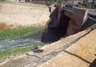   المصارف و المصانع والصرف الزراعى أهم مصادر تلوث النيل بأسوان