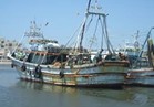 المحكمة الدستورية: إلزام الصيادين بالتأمين على مراكب الصيد إجباريا