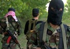 مصادر لبنانية: عملية تبادل أسرى حزب الله ستتم في حلب