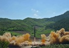 روسيا: إطلاق الصاروخ البالستي الكوري الشمالي لم يشكل خطرا علينا