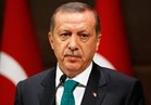 أردوغان يتهم ألمانيا بـ«الانتحار» قبل قمة العشرين