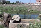 مياه الصرف الصحي كارثة تهدد الثروة زراعة المحاصيل بالبحيرة