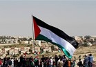 وزراء الخارجية العرب واليابان يؤكدون دعمهم لقيام الدولة الفلسطينية