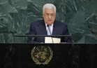 الخارجية الفلسطينية: ماضون في تجسيد الشخصية القانونية لدولتنا