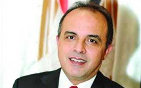 السفير المصري في الامارات وائل جاد