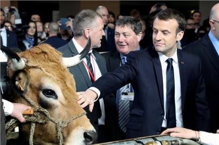 الرئيس الفرنسي ايمانويل ماكرون في معرض الزراعة الدولي - رويترز
