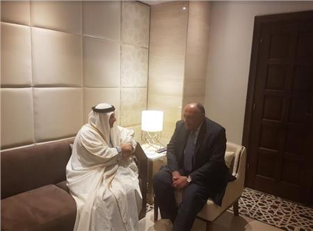 سامح شكري يعقد مباحثات ثنائية مع وزير الدولة للشئون الخارجية الإماراتي