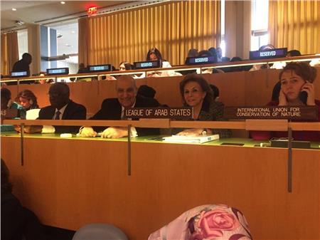 صورة خلال انعقاد لجنة المرأة بالأمم المتحدة