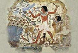 الزهور في حياة المصريين القدماء