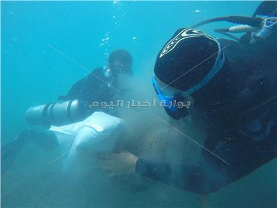 أكبر حملة نظافة تحت الماء بمارينا مرسي علم