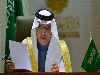 السفير السعودي بالقاهرة يقدم أوراق اعتماده بوزارة الخارجية