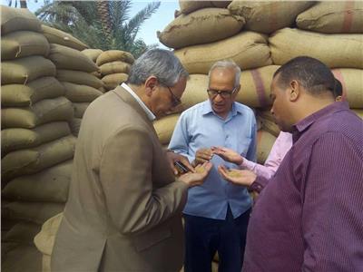 رئيس مركز ملوي بالمنيا يتابع أعمال توريد القمح