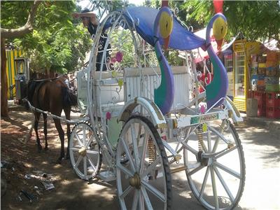 صور| فرحة العيد في القناطر تكتمل بركوب «عربة سندريلا»