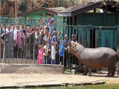 حديقة حيوان الجيزة تستقبل 35 ألف زائر في ثاني أيام العيد