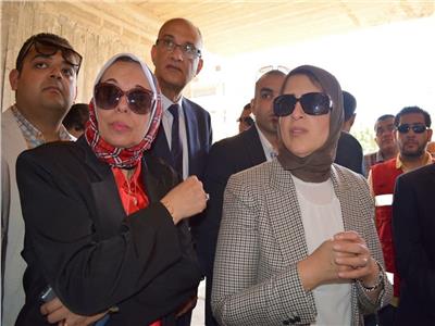 د.سهير عبد الحميد مع وزيرة الصحة والسكان