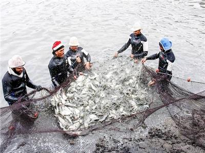 مشروعات «الاستزراع السمكي».. مهمة قومية لتحقيق الأمن الغذائي للمصريين