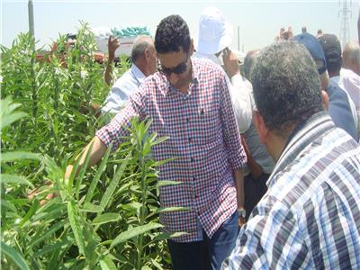 «الزراعة» تواصل حملات المرور على زراعات القطن والذرة بالمحافظات
