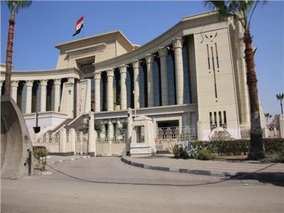 المحكمة الدستورية 