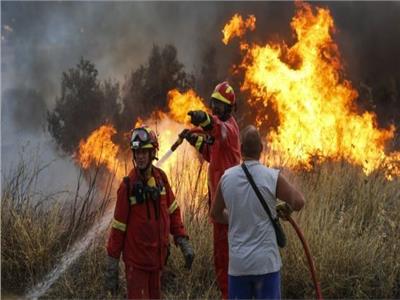  حرائق الغابات في اليونان