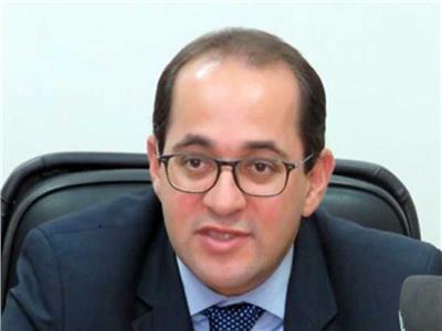 نائب وزير المالية للسياسات المالية أحمد كجوك 