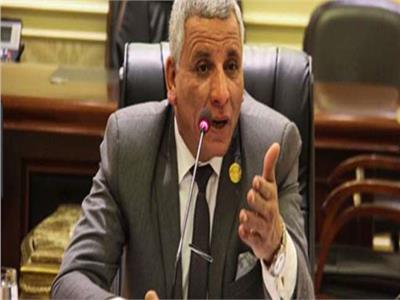 عبدالفتاح محمد عبدالفتاح عضو لجنة القوى العاملة بمجلس النواب