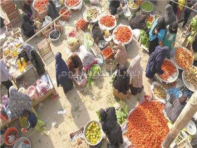 سوق الطماطم بقرية حنا حبيب