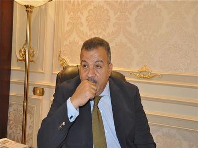 النائب / د.محمد خليل العمار - رئيس لجنة الصحة بمجلس النواب