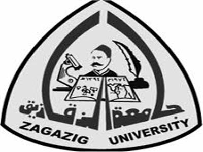 جامعة الزقازيق تناقش رسالة دكتوراه حول الإرهاب والتطرف الديني في سيناء