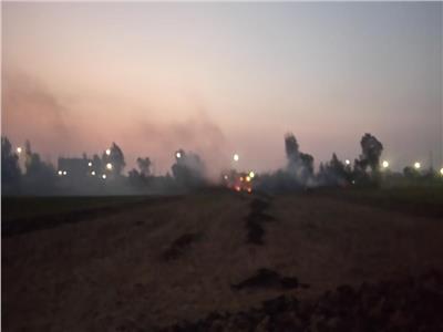تحرير 50 محضرا لـ«مزارعي الغربية» بسبب حرق قش الأرز