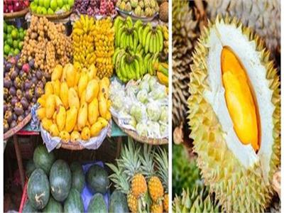 صور 12 فاكهة نادرة ورائعة لـ تايلاند بوابة أخبار اليوم الإلكترونية