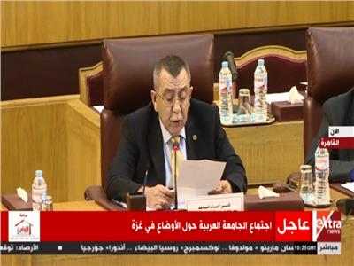 الأمين العام المساعد للجامعة العربية، الدكتور سعيد أبو علي